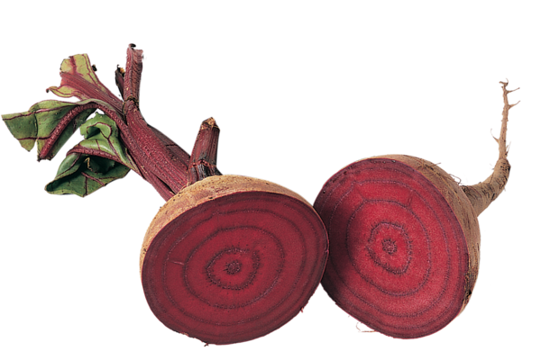 Transparent Beetroot Sowing Magazine Fruit for Thanksgiving