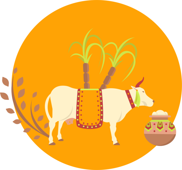 Transparent Thai Pongal Cattle Mattu Pongal Food Yellow for Thanksgiving