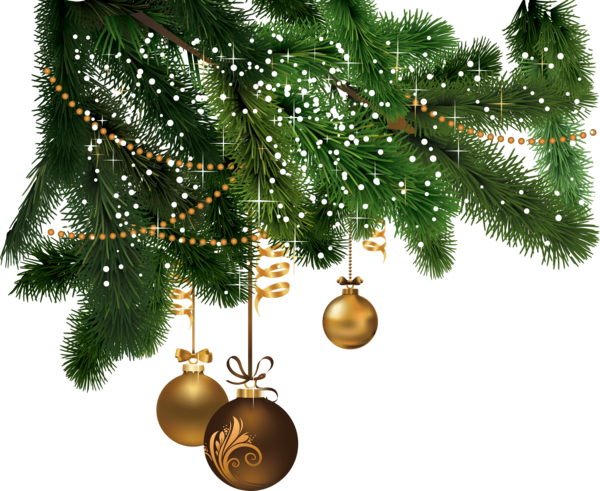 Transparent Christmas Christmas Tree Christmas And Holiday Season Fir Pine Family for Christmas
