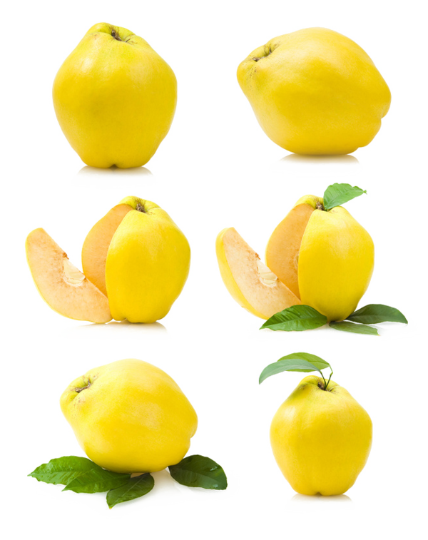 Transparent Juice Fruit Apple Lemon for Thanksgiving