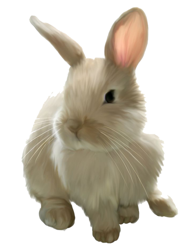 Transparent Easter Bunny Hare Mini Lop Whiskers for Easter