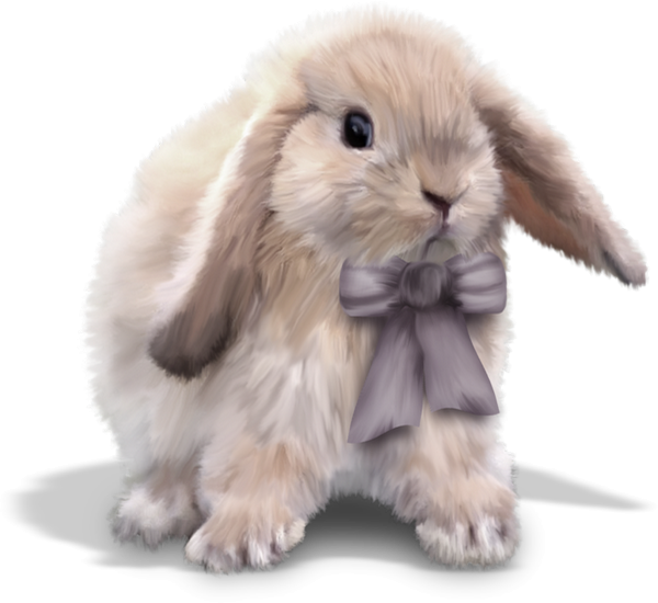 Transparent Easter Bunny European Rabbit Leporids Rabbit Fur for Easter