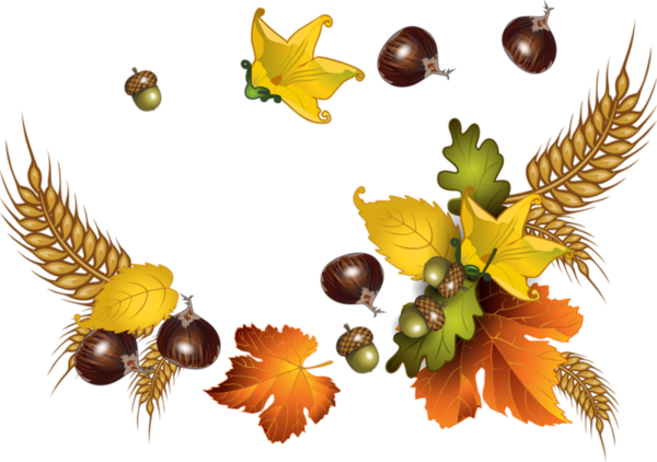 Transparent Autumn Auglis Leaf Food for Thanksgiving