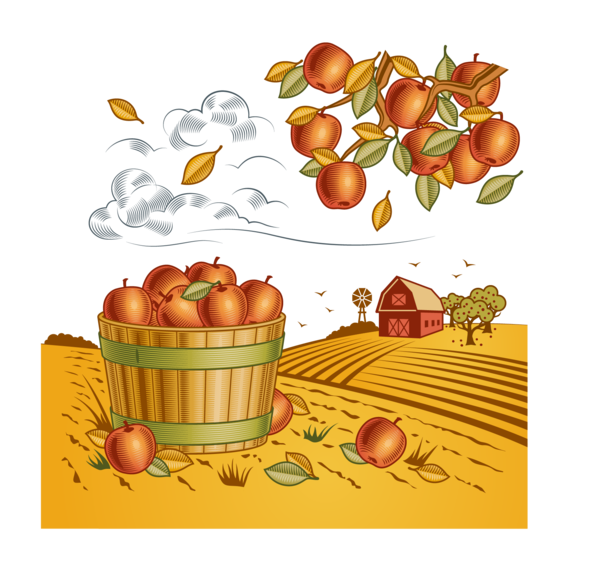 Transparent Harvest Harvest Festival Autumn Vegetarian Food Apple for Thanksgiving