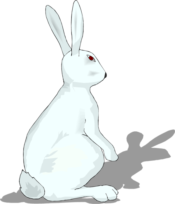 Transparent Easter Bunny Hare Rabbit Drawing for Easter