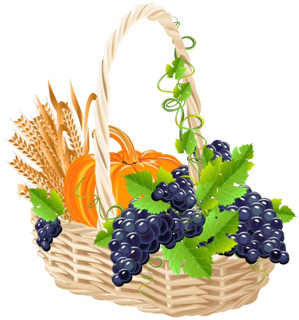 Transparent Basket Egg Basket Harvest Plant Grape for Thanksgiving