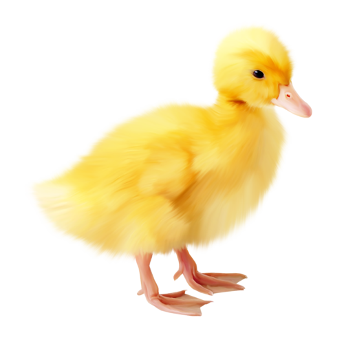 Transparent Easter Duck Vechornytsi Poultry Water Bird for Easter