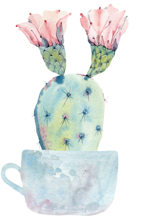 Transparent Cactaceae Watercolor Painting Painting Flowerpot Easter for Easter