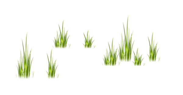 Transparent Paskha Easter Vetiver Plant Chrysopogon Zizanioides for Easter