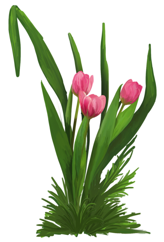 Transparent Floral Design Bunchflowered Daffodil Cartoon Flower Plant for Easter