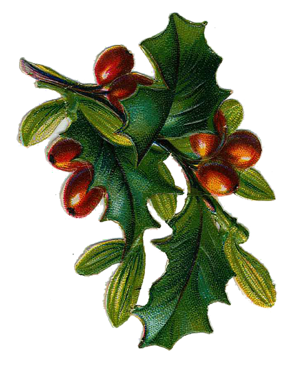 Transparent Vintage Christmas Christmas Graphics Clip Art Christmas Leaf Fruit for Christmas