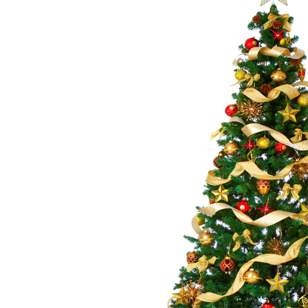 Transparent Christmas Tree Christmas Tree Fir Evergreen for Christmas