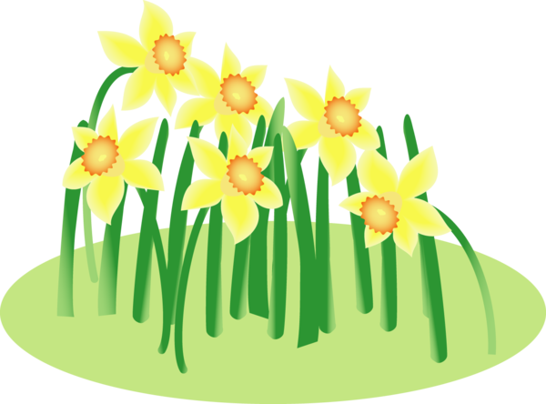 Transparent Floral Design Wild Daffodil Cut Flowers Flower Yellow for Easter