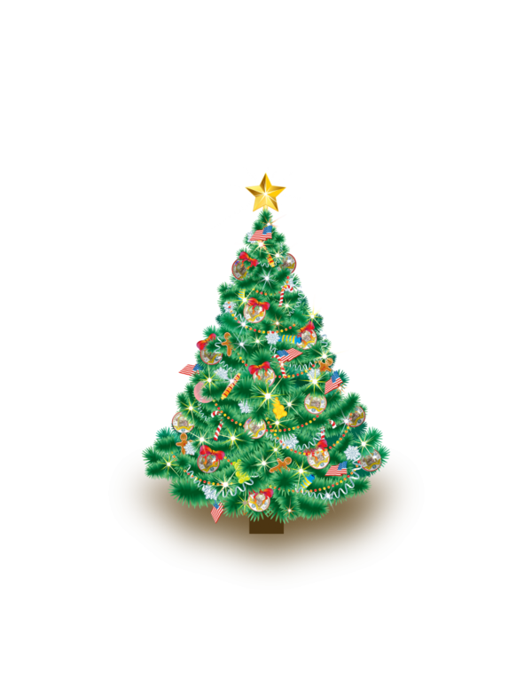 Transparent Christmas New Year Christmas Card Fir Pine Family for Christmas