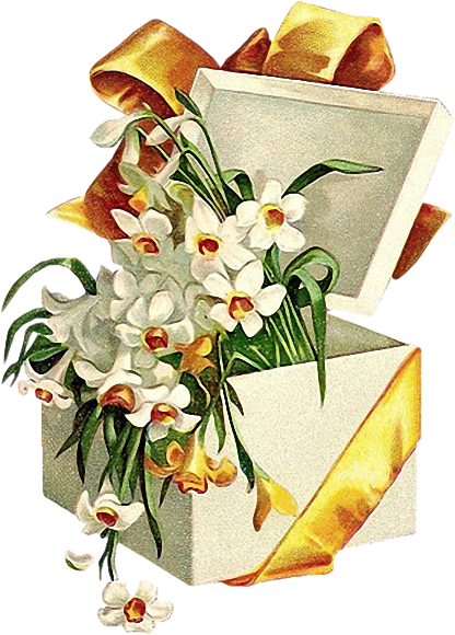 Transparent Paper Flower Floral Design Plant Flora for Easter