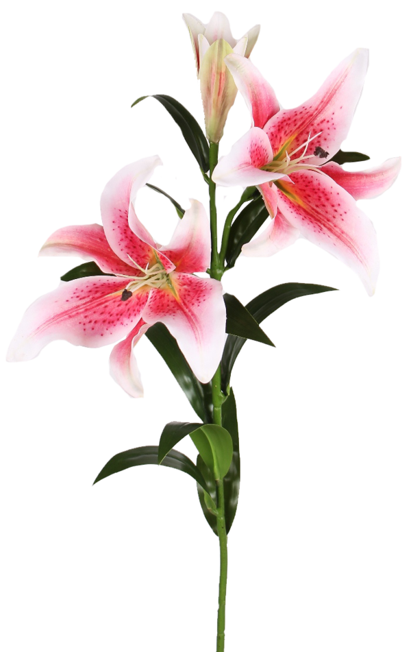 Transparent Plant Stem Easter Lily Cut Flowers Pink Plant for Easter