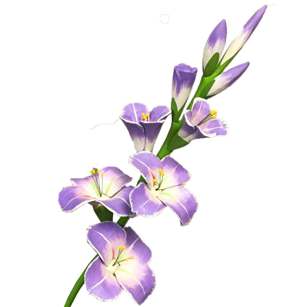 Transparent Gladiolus Flower Charming Beauty Iris Family Iris for Easter