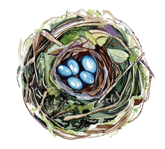 Transparent Beijing National Stadium Bird Edible Birds Nest Egg Nest for Easter