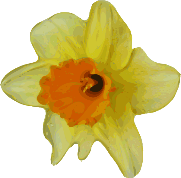 Transparent Flower Daffodil Spring Plant for Easter