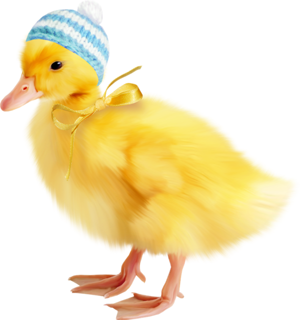 Transparent Duck Chicken Easter Bird Yellow for Easter