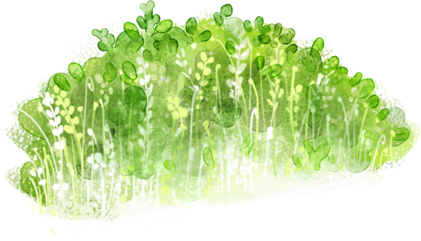 Transparent Green Leaf Vegetable Herb Plant for Easter