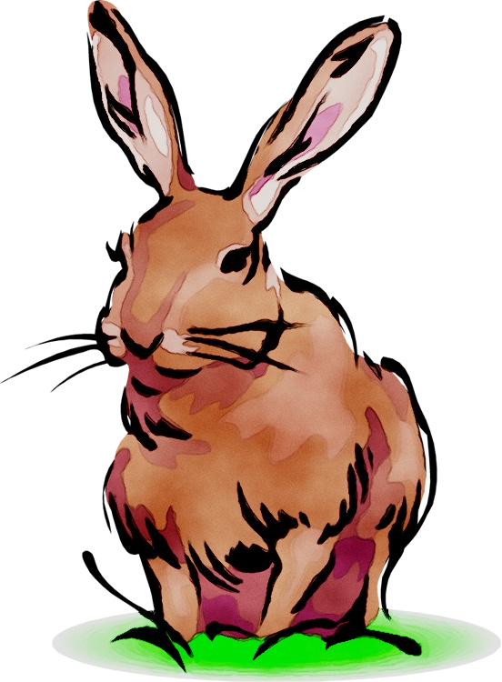 Transparent Rabbit Hare Dog Rabbits And Hares for Easter