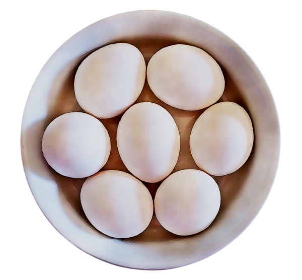 Transparent Egg Egg Cookers Easter Egg Food for Easter