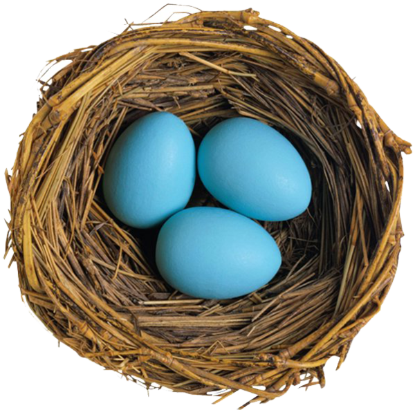 Transparent Bird European Robin Bird Nest Nest for Easter