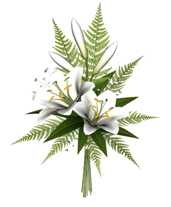 Transparent Flower Easter Lily Blog Plant for Easter