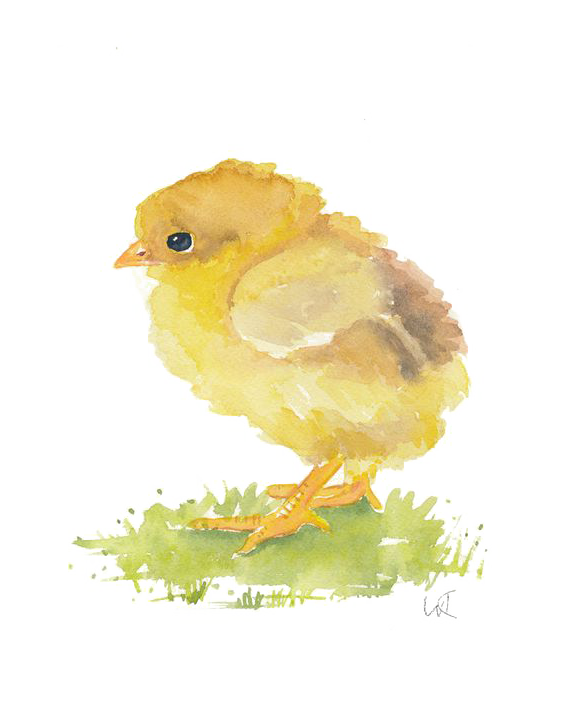 Transparent Watercolor Painting Chicken Painting Finch Bird for Easter