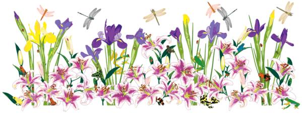 Transparent Guestbook Greeting Online Chat Flower Lavender for Easter