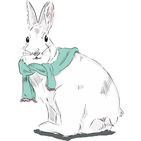 Transparent Hare Rabbit Drawing Line Art Wildlife for Easter