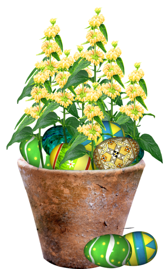 Transparent Houseplant Flowerpot Easter Plant for Easter