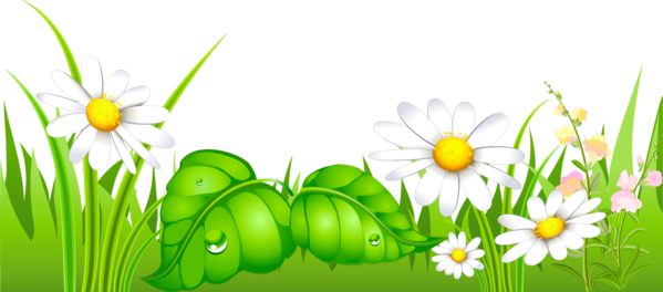 Transparent Animation Presentation Plant Flora for Easter