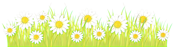 Transparent Thonburi Polytechnic College Meadow Ministry Of Education Green Daisy for Easter