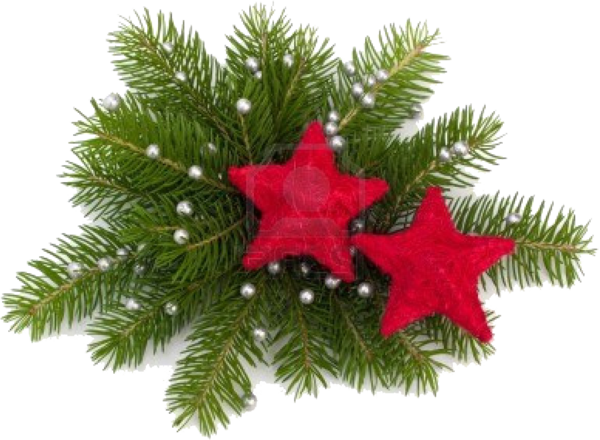 Transparent Christmas Christmas Decoration Christmas Ornament Fir Pine Family for Christmas