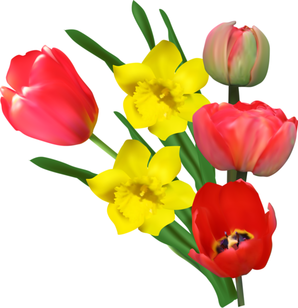 Transparent Tulip Yellow Flower Plant for Easter