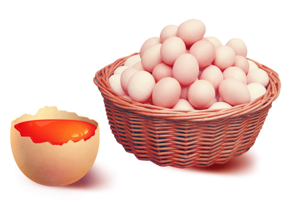 Transparent Egg Basket Egg Slicer Food for Easter