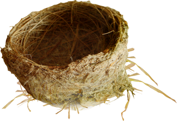 Transparent Bird Nest Bird Nest for Easter