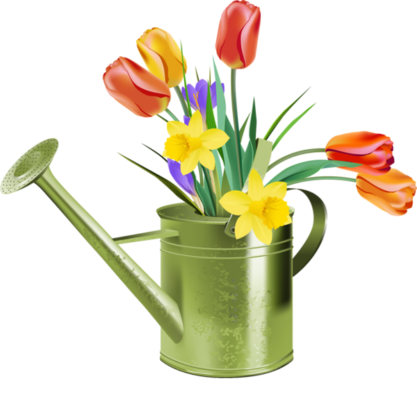 Transparent Tulip Borders Clip Art Daffodil Flower Flowerpot for Easter