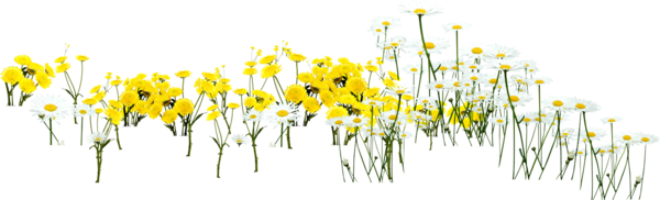 Transparent Floral Design Yellow Petal Plant Flora for Easter