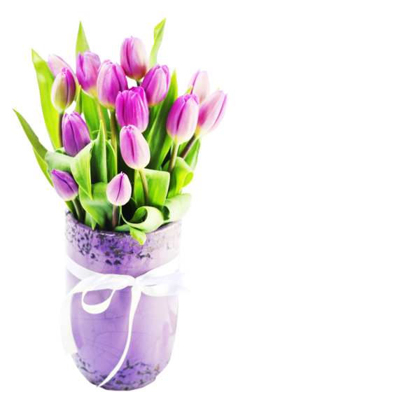 Transparent International Women S Day Holiday Woman Plant Flower for Easter