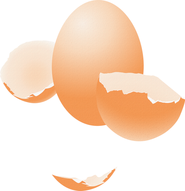 Transparent Egg Chicken Eggshell Orange for Easter