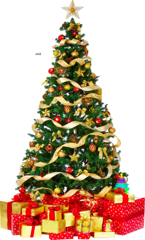 Transparent Christmas Tree Christmas Gift Fir Pine Family for Christmas