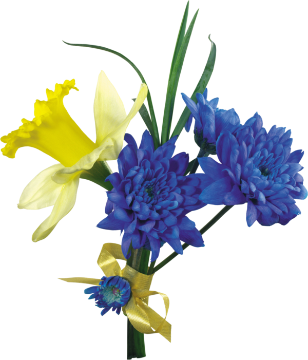 Transparent Daffodil Flower Tulip Blue Plant for Easter