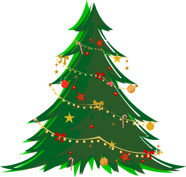 Transparent Christmas Christmas Tree Tree Fir Pine Family for Christmas