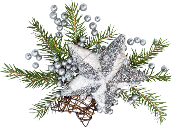 Transparent Fir Christmas Ornament Spruce Pine Family for Christmas