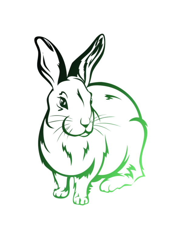 Transparent Rabbit Drawing Rabbit Rabbit Rabbit Rabbits And Hares for Easter