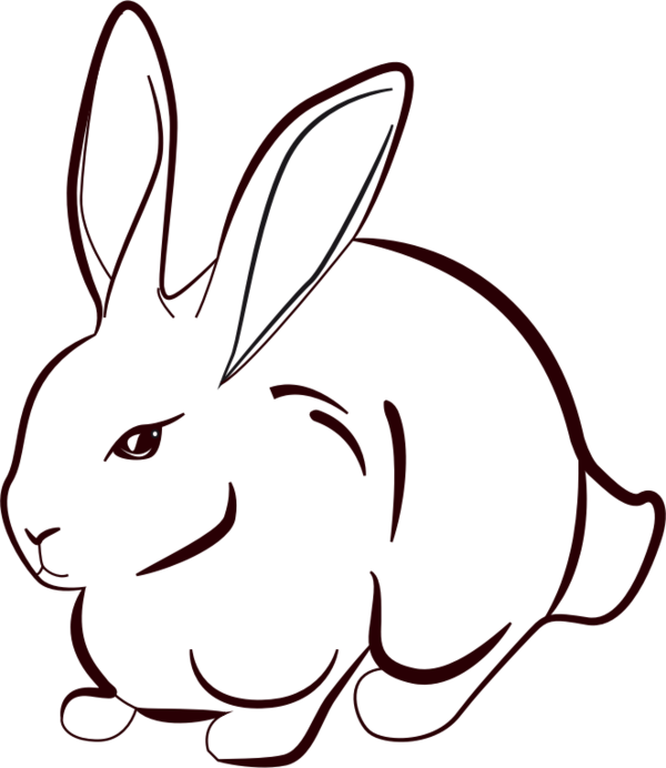 Transparent Line Art Rabbit Drawing Hare for Easter