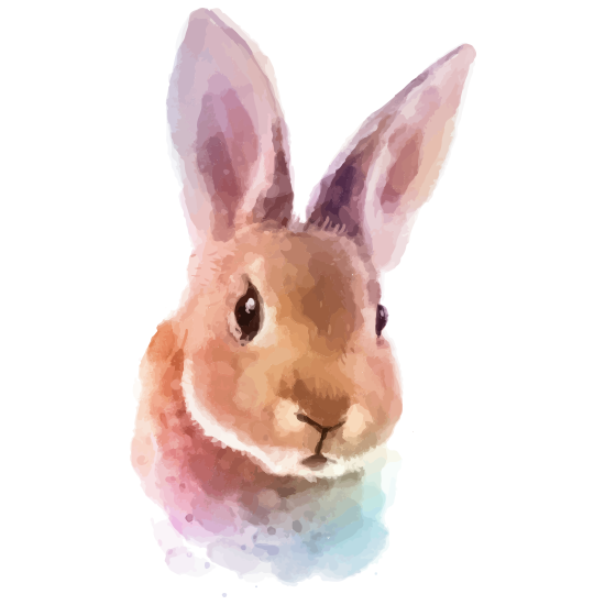 Transparent Hare Watercolor Painting Painting Rabbit Rabbits And Hares for Easter